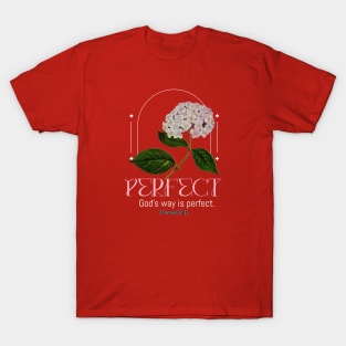 Perfect. God's way is perfect.  2 Samuel 22:31 T-Shirt